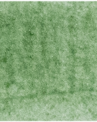 Terre Verte