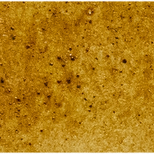 Transparent Oxide Yellow - Michael Harding
