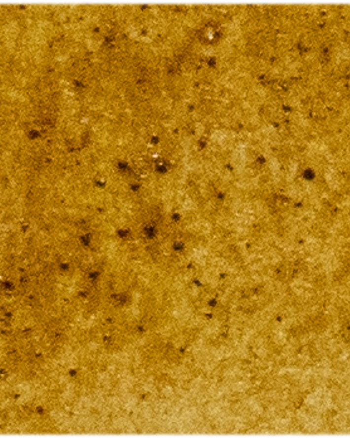 Transparent Oxide Yellow - Michael Harding