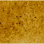 Transparent Oxide Yellow - Michael Harding