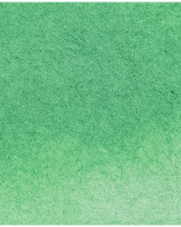 Permanent Green Light - Michael Harding
