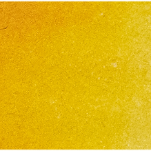 Cadmium Golden Yellow - Michael Harding