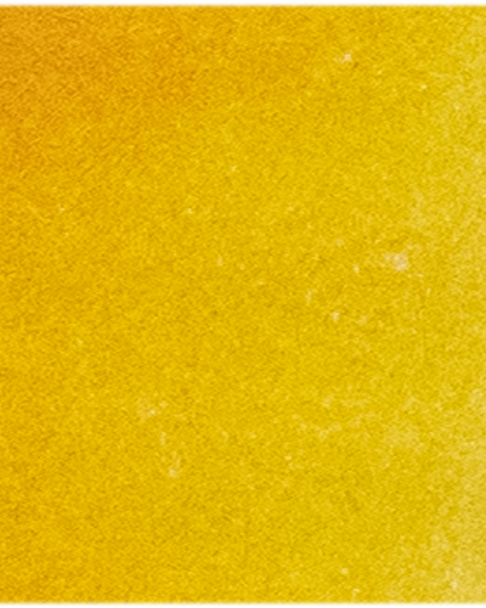Cadmium Golden Yellow - Michael Harding