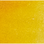 Cadmium Golden Yellow - Michael Harding