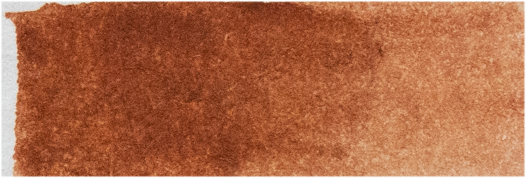Burnt Sienna