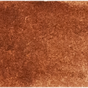 Burnt Sienna - Michael Harding