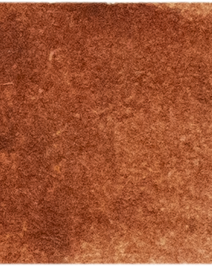 Burnt Sienna - Michael Harding