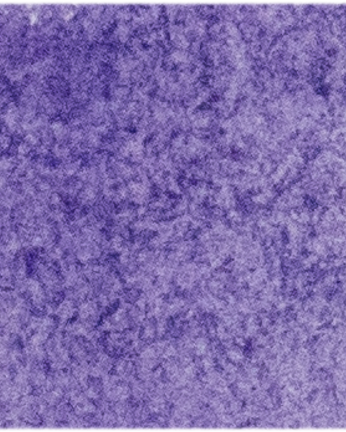 Ultramarine Violet - Michael Harding