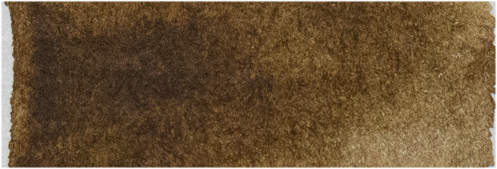 Raw Umber