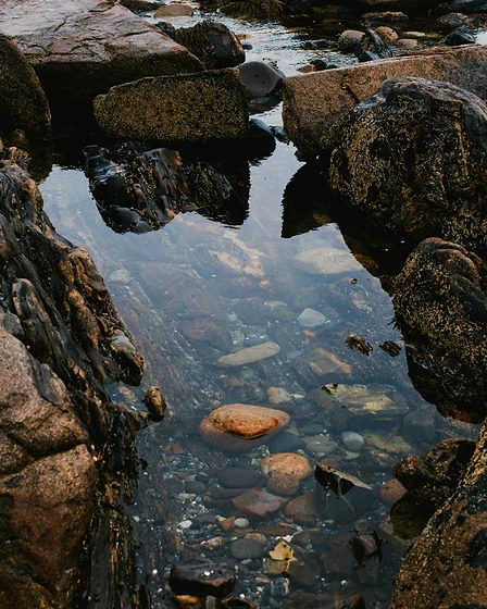 Top-down view of a tidal pool held by dark moss-covered rocks, clear still water revealing smooth pebbles at the bottom