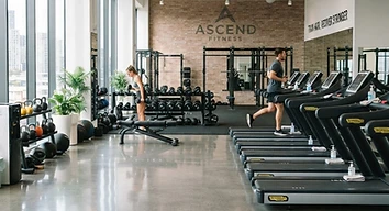 Gyms & Fitness Studios