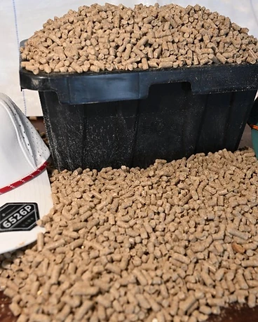 Oat Pellets feed