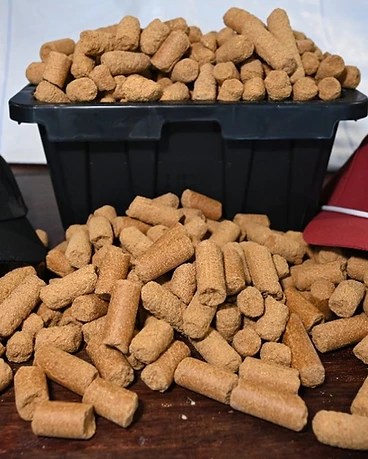 DDG Pellets feed