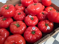 A box filled with fresh red tomatoes