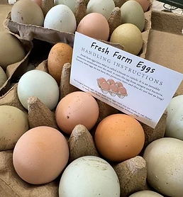 Farm eggs offered in the market
