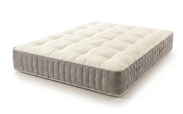 Millbrook Royale 2400 — Firm