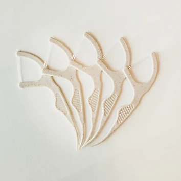 Dental Floss Picks — 200pk