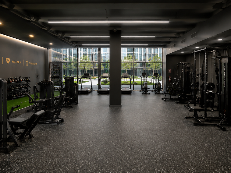 Sala de fisioterapia Tribeca Gym