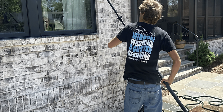 Technician using a pure-water pole on a white brick home