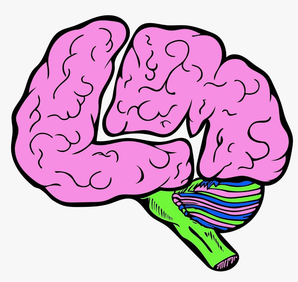 Loose Minds logo