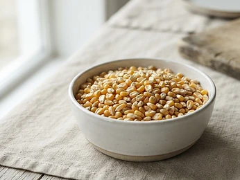 Yellow Corn / Maize