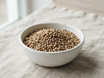 Coriander Seeds