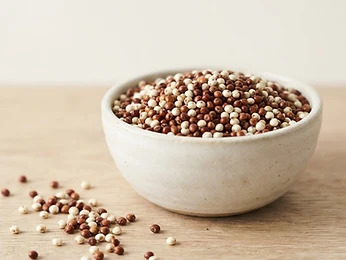 Sorghum (Red / White)