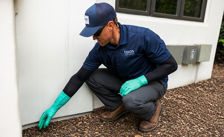 Talos specialist inspecting a property