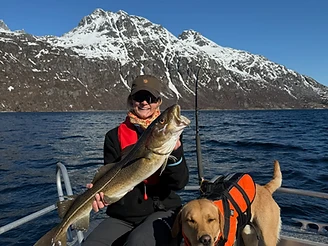 Guest holding a fresh cod catch on the boat with a Labrador at Ersfjordbotn Brygge