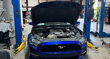 Blue Mustang in the bay