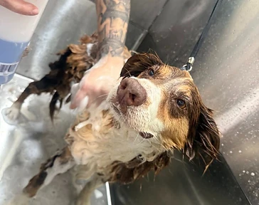 Bath & Refresh