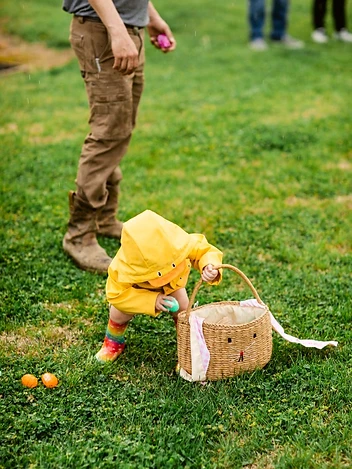 A toddler in a duck raincoat gathers eggs at the community Easter egg hunt
