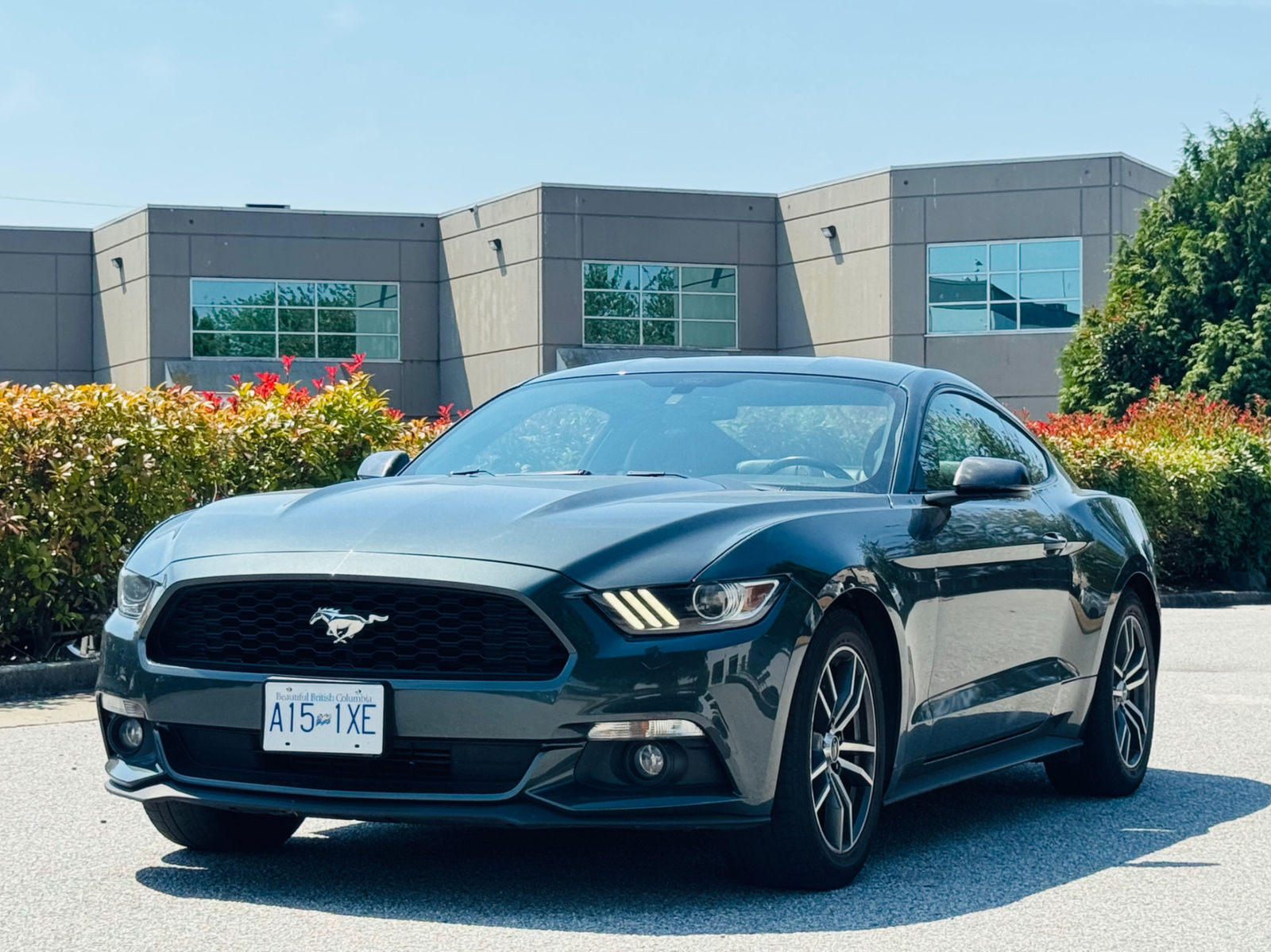 Dark green 2015 Ford Mustang EcoBoost, three-quarter front view, on a dealership lot.