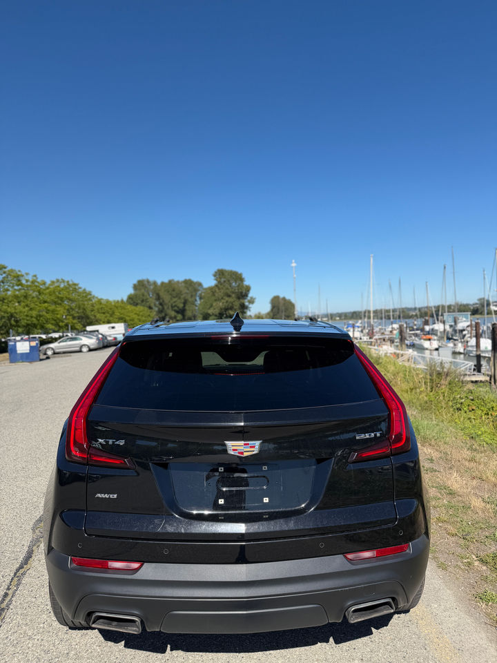 Black 2019 Cadillac XT4, straight-on rear view, on a dealer’s outdoor lot.
