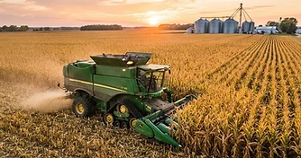 Corn and Soybean Supply Outlook Weighs on Cash Basis as Harvest Approaches