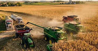 September WASDE Trims Corn Yield to 178.5 as Fund Profit-Taking Pressures Cash Bids
