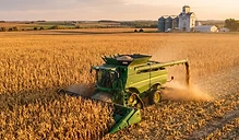 Export Demand and Yield Shifts: Navigating Mid September Grain Markets