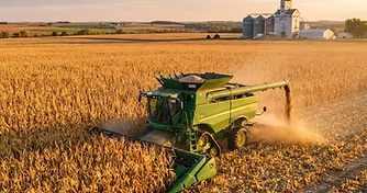 Export Demand and Yield Shifts: Navigating Mid September Grain Markets