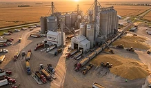 Harvest Pressure and Stock Surpluses: Navigating October Grain Markets