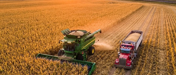 Harvest Acceleration Meets Market Pressure as Supplies Weigh on Prices