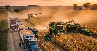 Diesel Shock Meets Harvest Headwinds: Why Energy Spikes Pressure Cash Grain