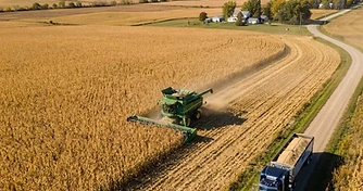 September WASDE Yield Adjustments and Harvest Reality
