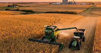 Harvest Momentum Meets Global Export Shifts