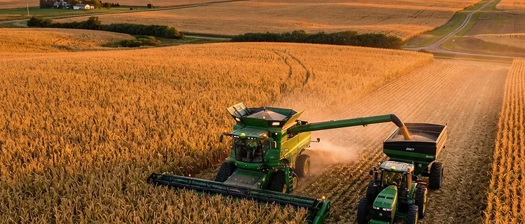 Harvest Momentum Meets Global Export Shifts