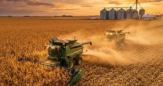Corn and Wheat Slide on Black Sea Talk While Soybeans Hold Firm Ahead of Harvest