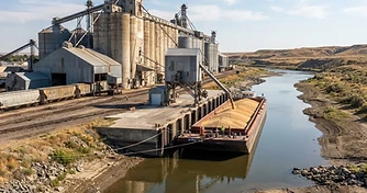 Low Water, High Stakes: Navigating Basis Volatility Ahead of Harvest 2026