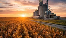 Record Soybean Production Forecasts Meet Shifting Export Dynamics