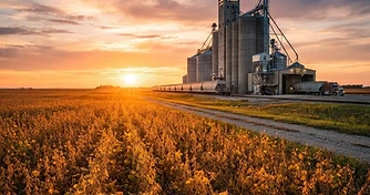 Record Soybean Production Forecasts Meet Shifting Export Dynamics