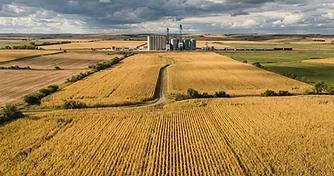 Market Volatility Returns: Navigating Crop Tour Results and Global Tensions