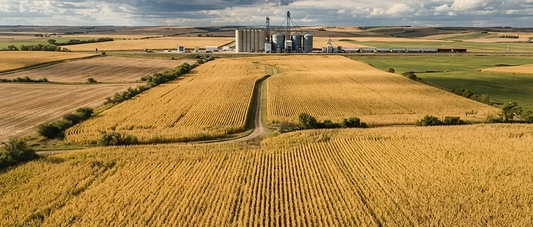 Market Volatility Returns: Navigating Crop Tour Results and Global Tensions